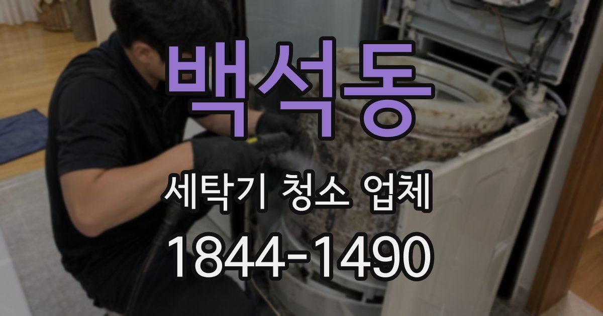백석동 세탁기 청소 업체