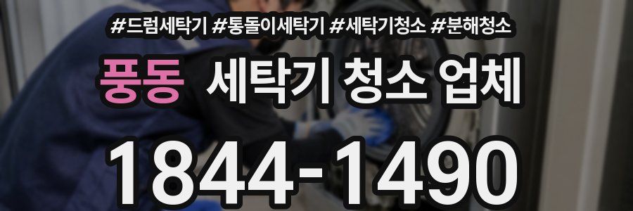 풍동 세탁기 청소 업체