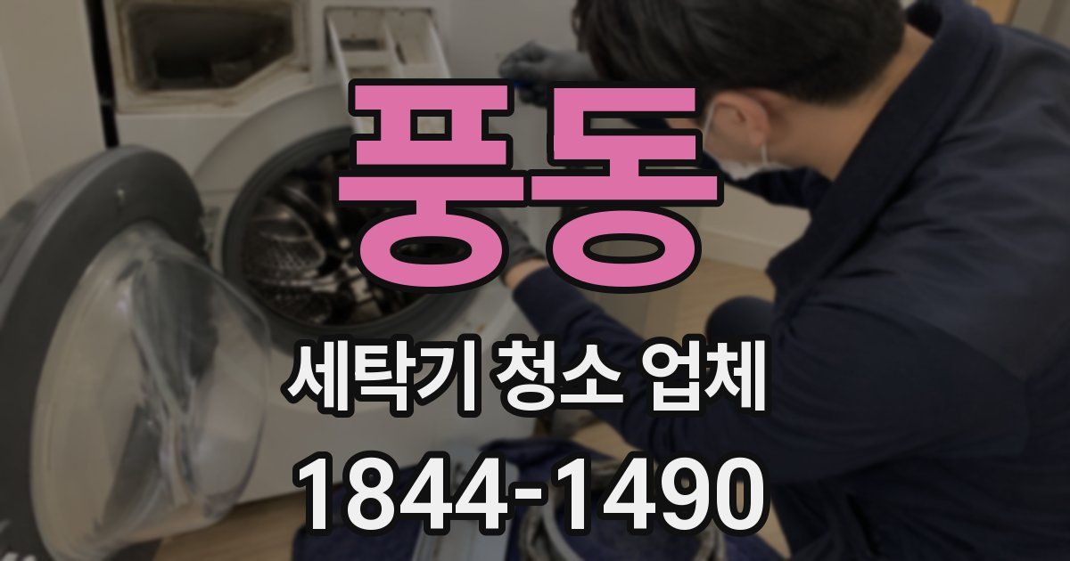 풍동 세탁기 청소 업체