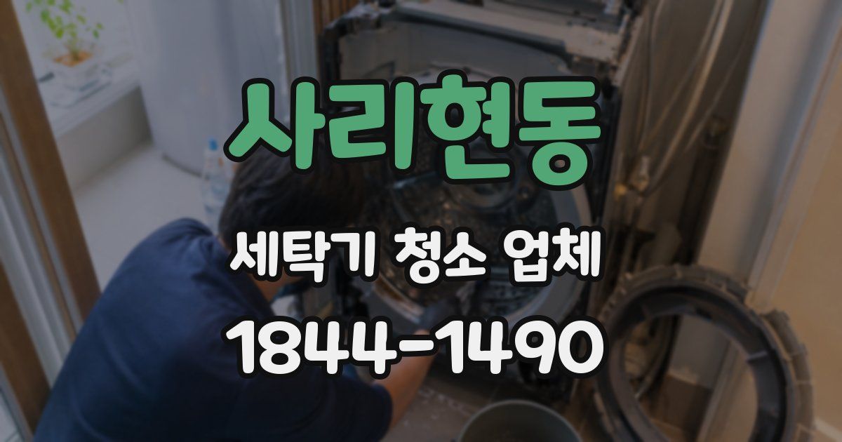 사리현동 세탁기 청소 업체