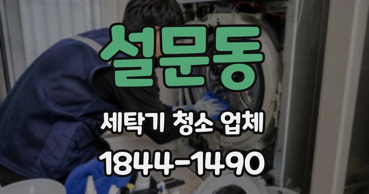 설문동 세탁기 청소 업체
