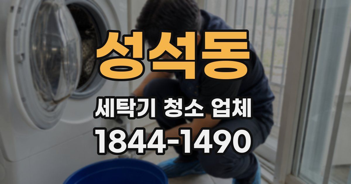 성석동 세탁기 청소 업체