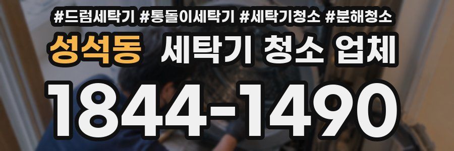 성석동 세탁기 청소 업체
