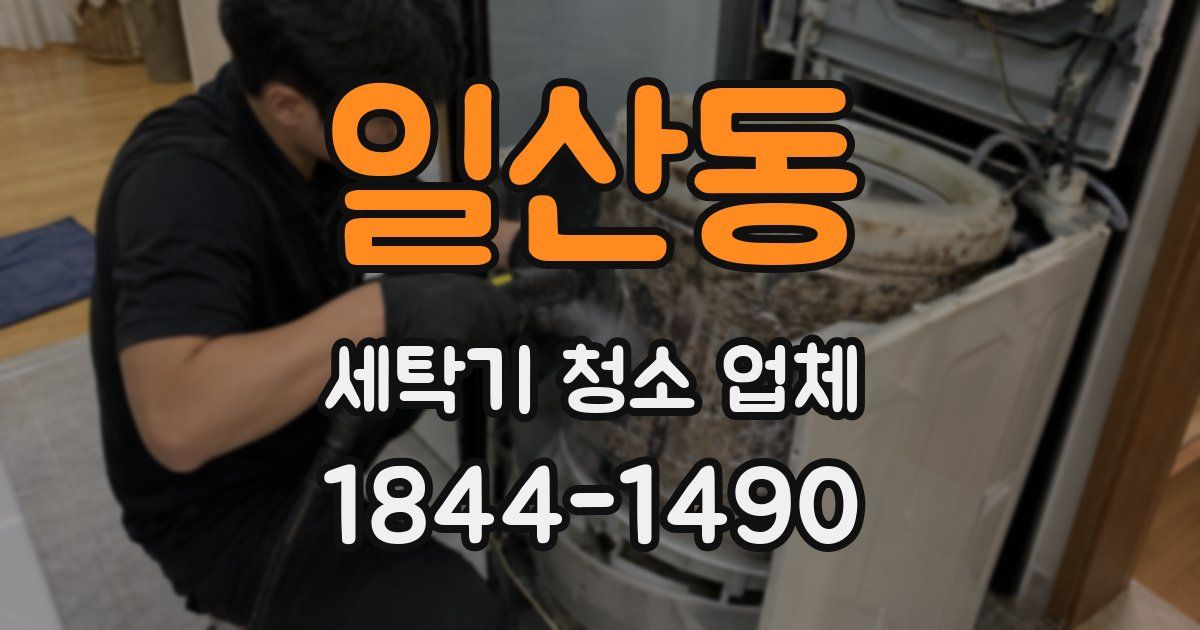 일산동 세탁기 청소 업체