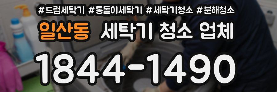 일산동 세탁기 청소 업체