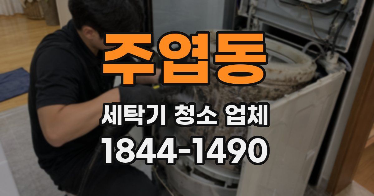 주엽동 세탁기 청소 업체