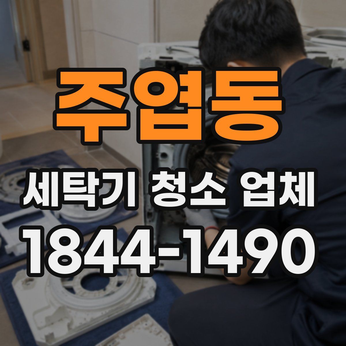 주엽동 세탁기 청소 업체