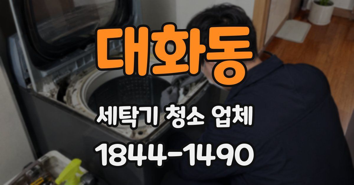 대화동 세탁기 청소 업체