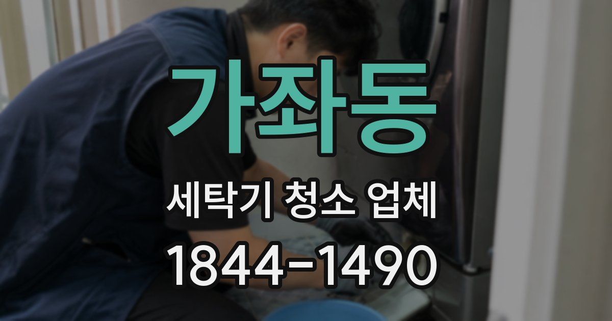 가좌동 세탁기 청소 업체