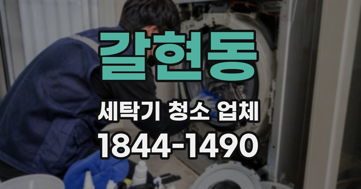 갈현동 세탁기 청소 업체
