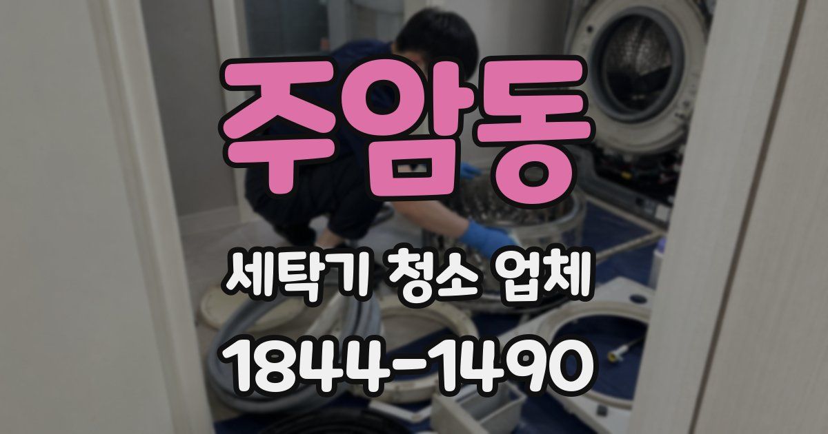 주암동 세탁기 청소 업체