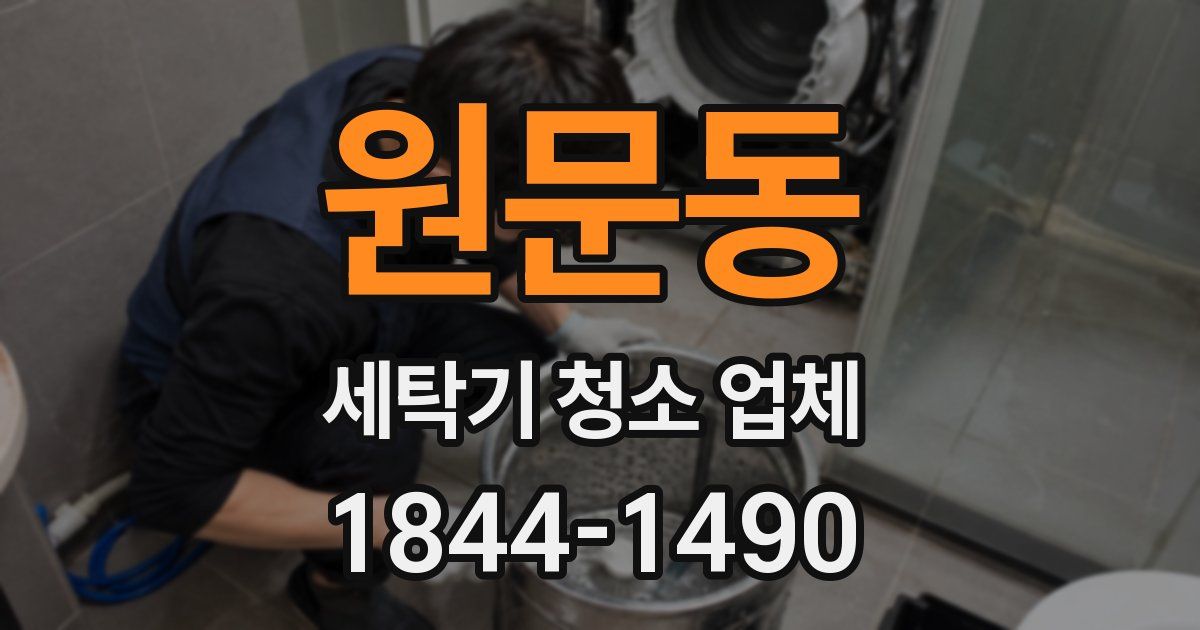 원문동 세탁기 청소 업체