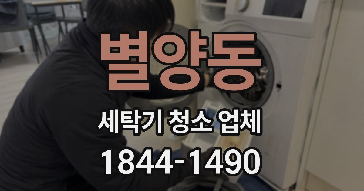 별양동 세탁기 청소 업체