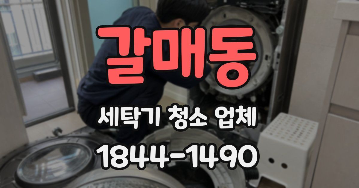 갈매동 세탁기 청소 업체