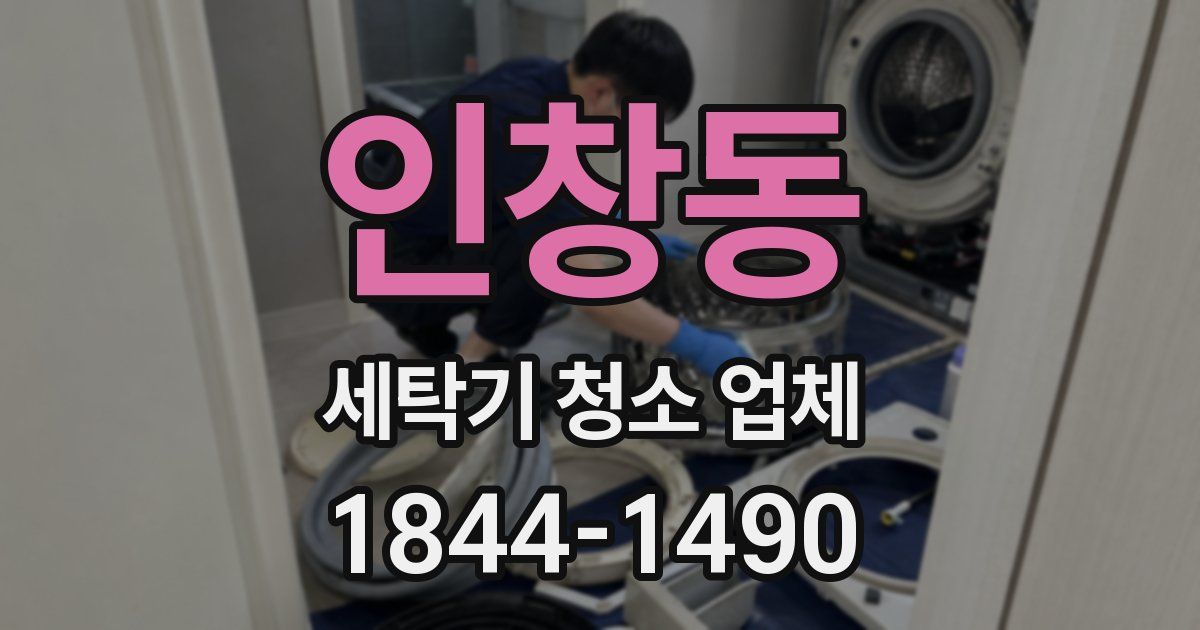 인창동 세탁기 청소 업체