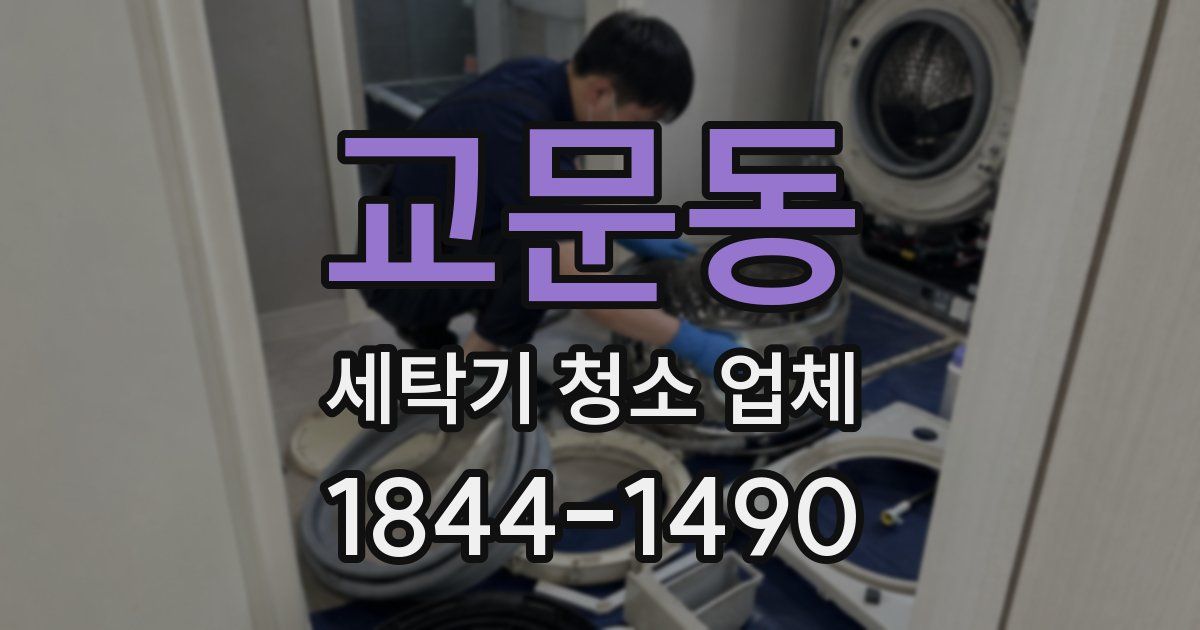 교문동 세탁기 청소 업체