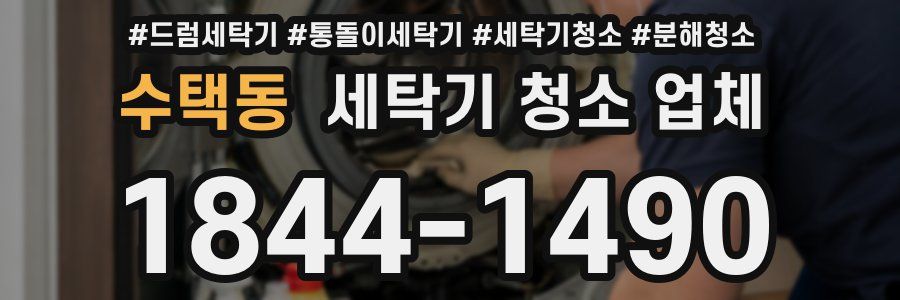 수택동 세탁기 청소 업체