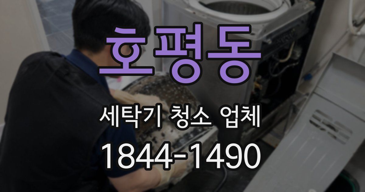 호평동 세탁기 청소 업체
