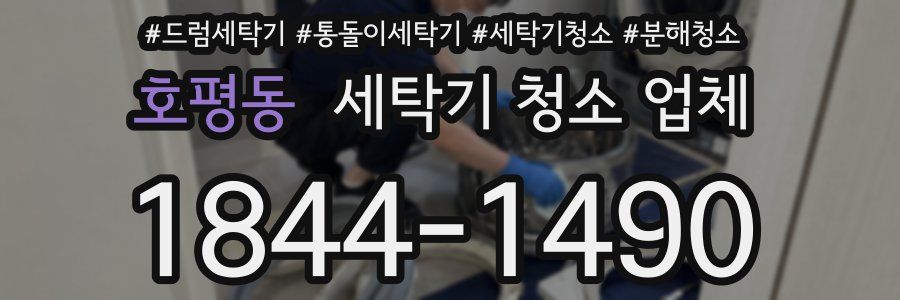 호평동 세탁기 청소 업체