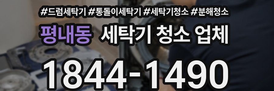평내동 세탁기 청소 업체