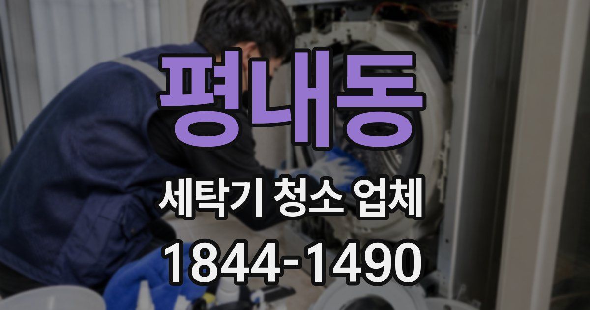 평내동 세탁기 청소 업체