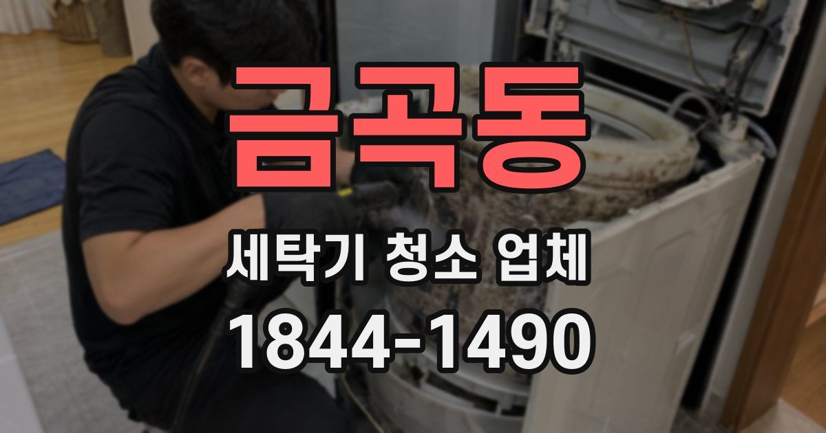 금곡동 세탁기 청소 업체