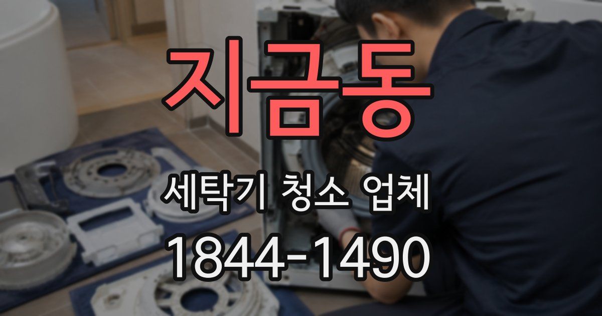 지금동 세탁기 청소 업체