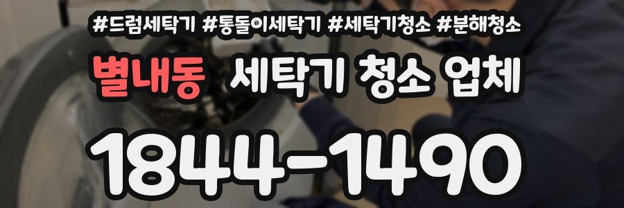 별내동 세탁기 청소 업체