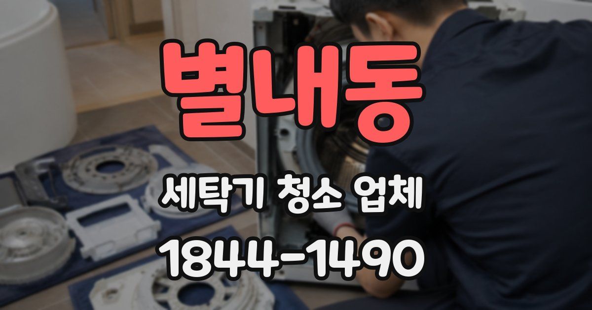 별내동 세탁기 청소 업체