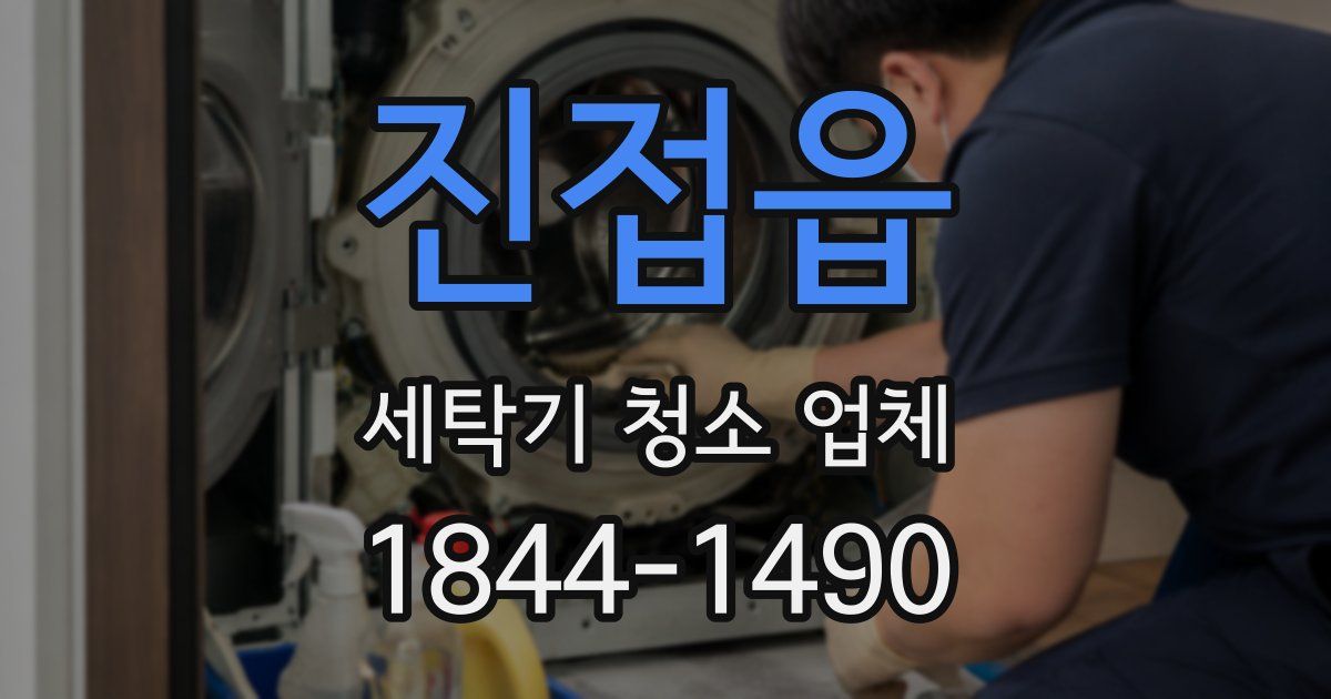 진접읍 세탁기 청소 업체