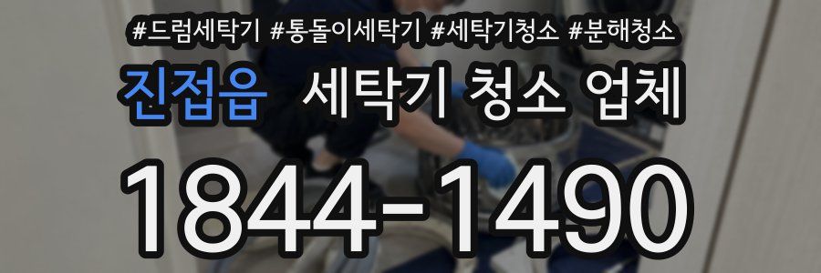 진접읍 세탁기 청소 업체