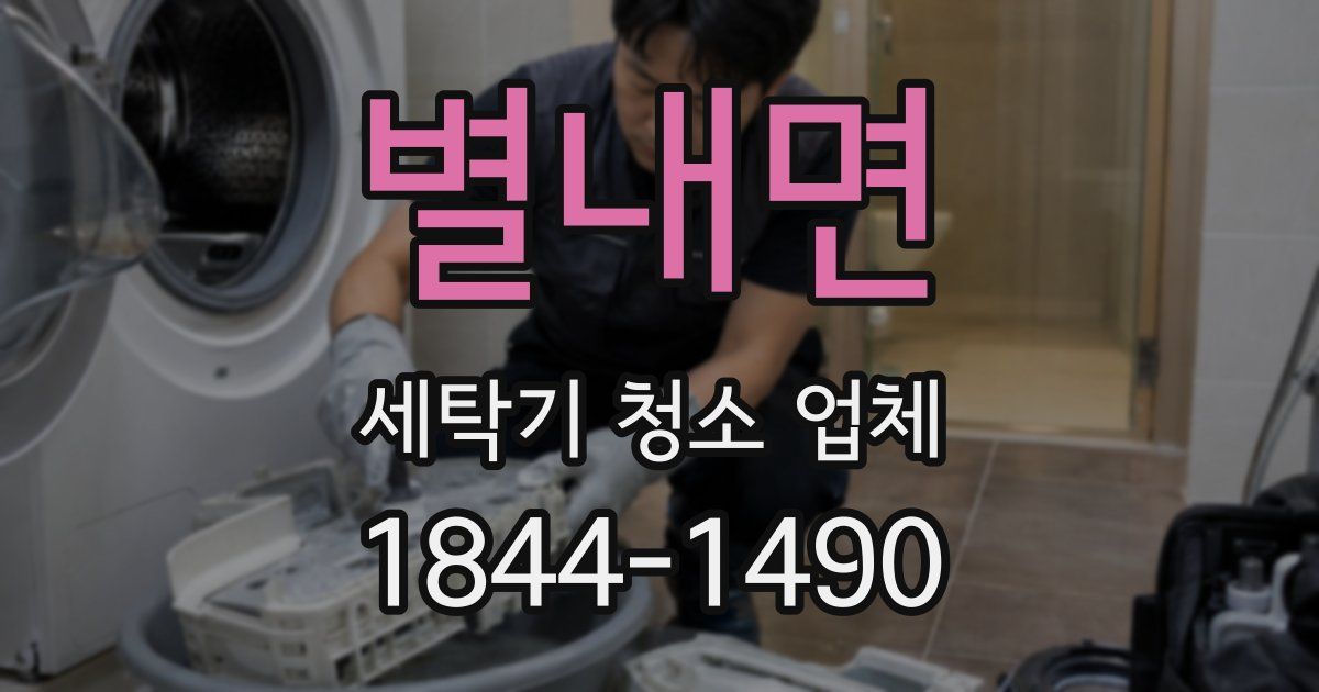 별내면 세탁기 청소 업체