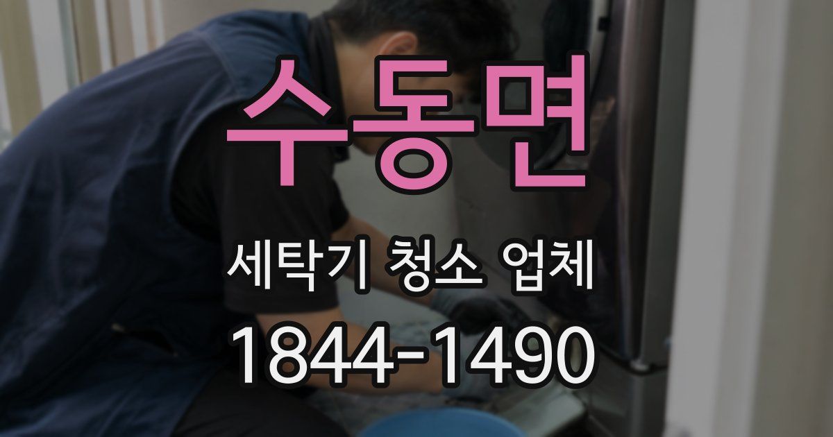수동면 세탁기 청소 업체