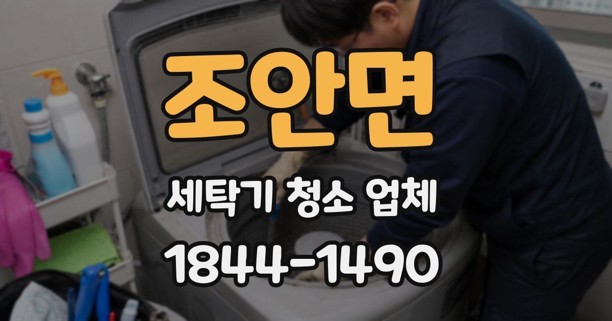 조안면 세탁기 청소 업체