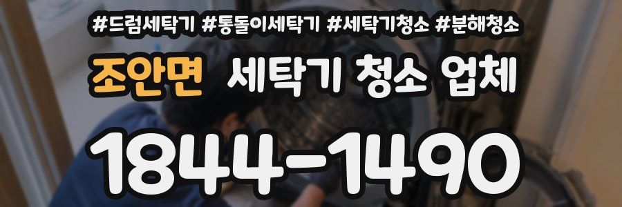 조안면 세탁기 청소 업체