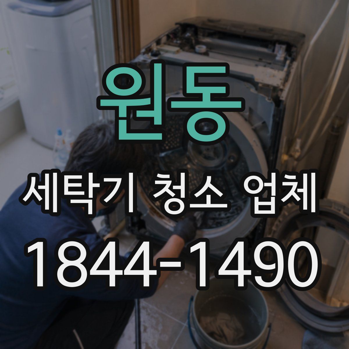 원동 세탁기 청소 업체