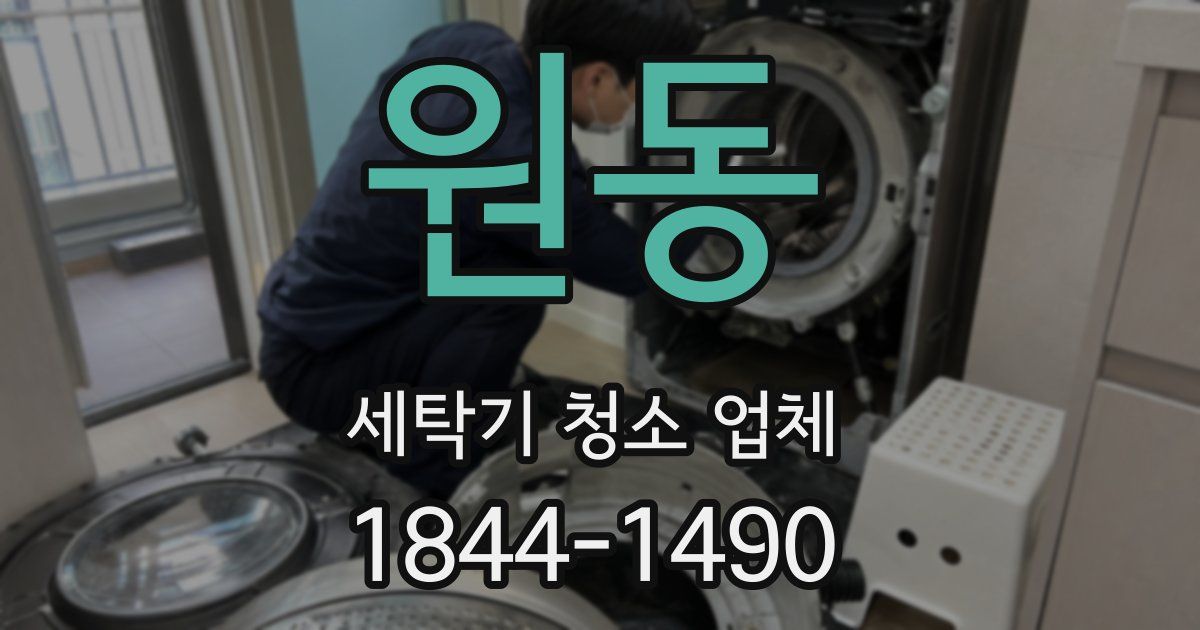 원동 세탁기 청소 업체