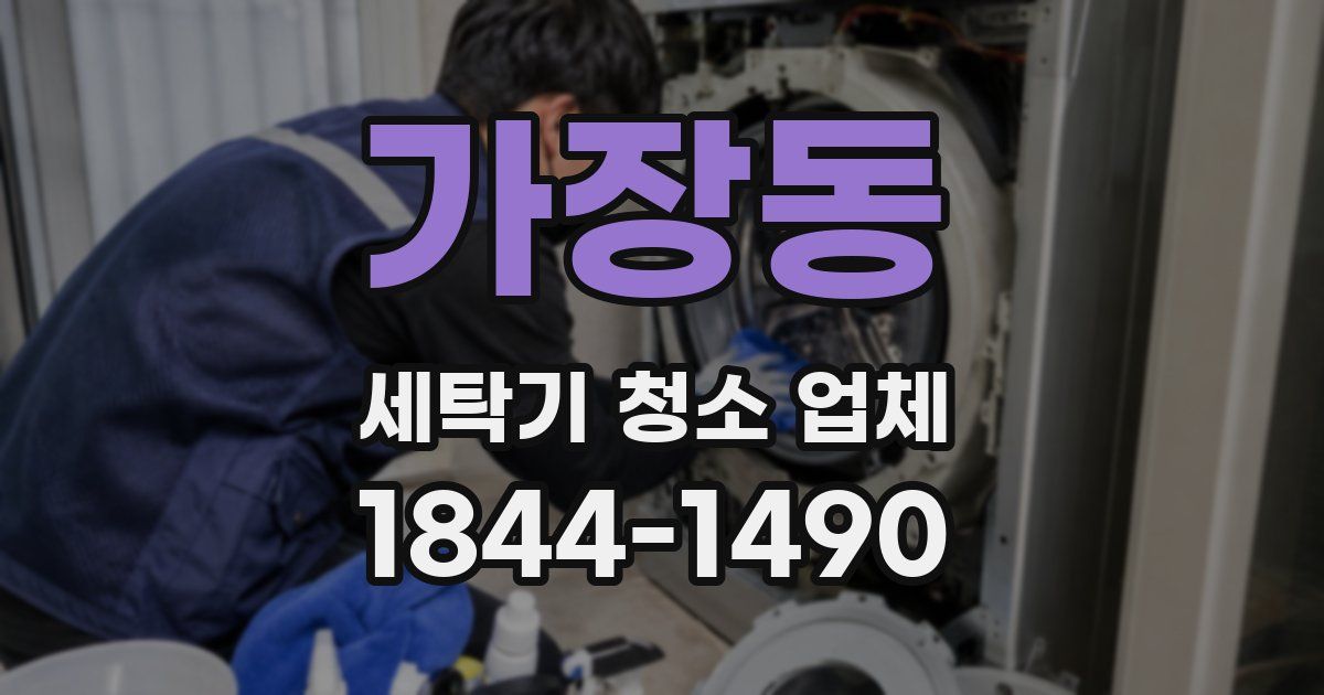 가장동 세탁기 청소 업체