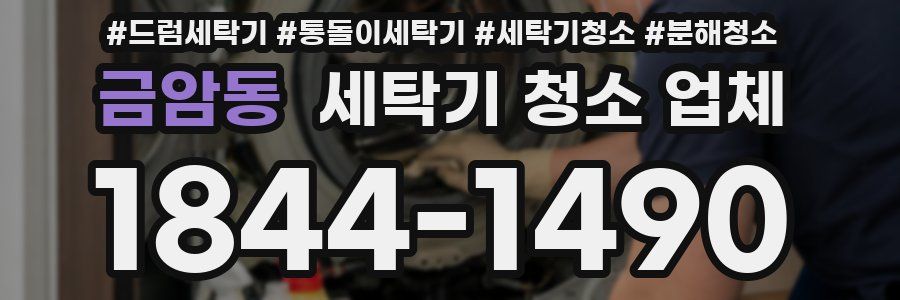 금암동 세탁기 청소 업체