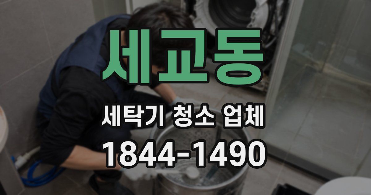 세교동 세탁기 청소 업체