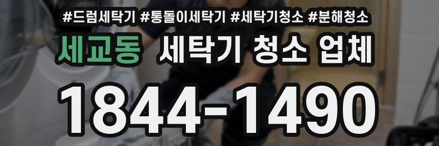 세교동 세탁기 청소 업체
