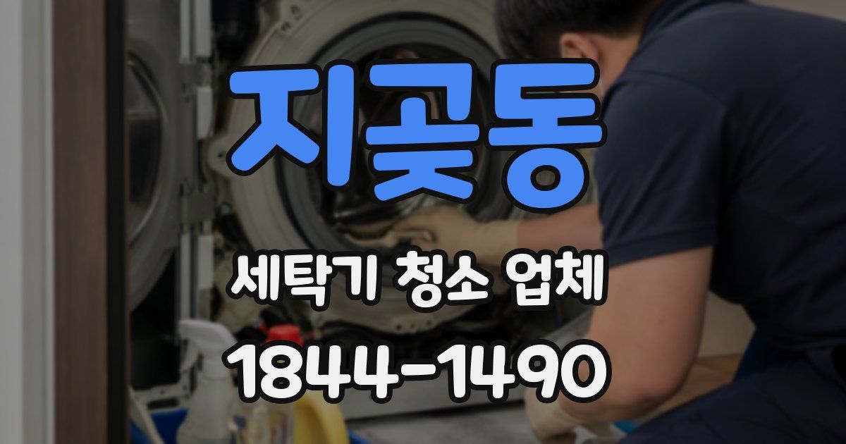 지곶동 세탁기 청소 업체