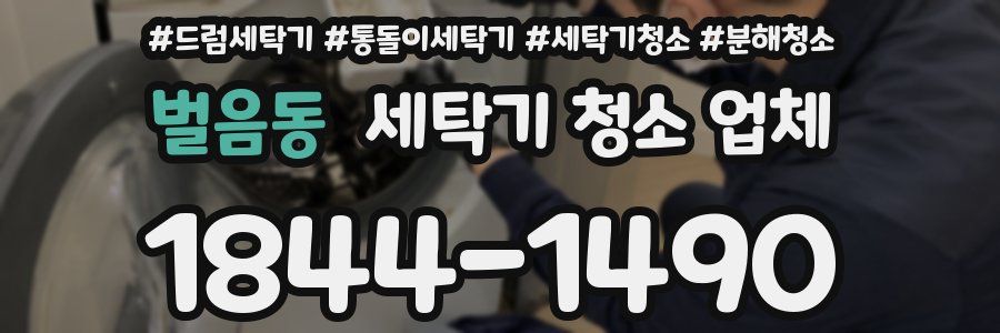 벌음동 세탁기 청소 업체