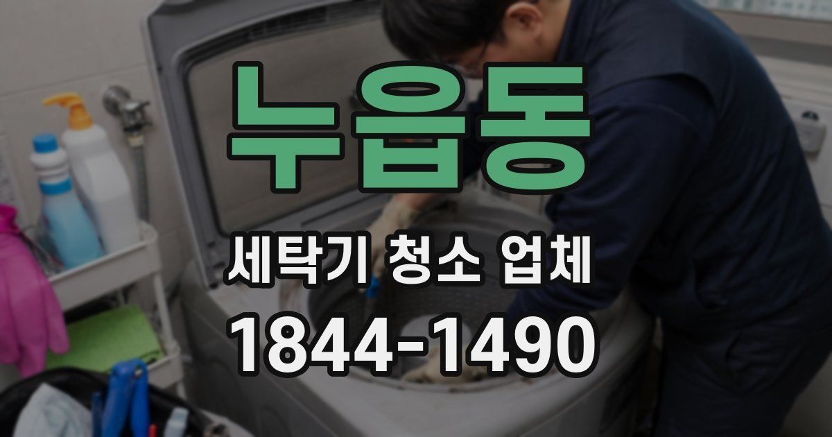 누읍동 세탁기 청소 업체