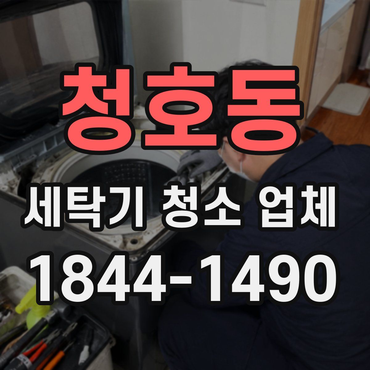 청호동 세탁기 청소 업체