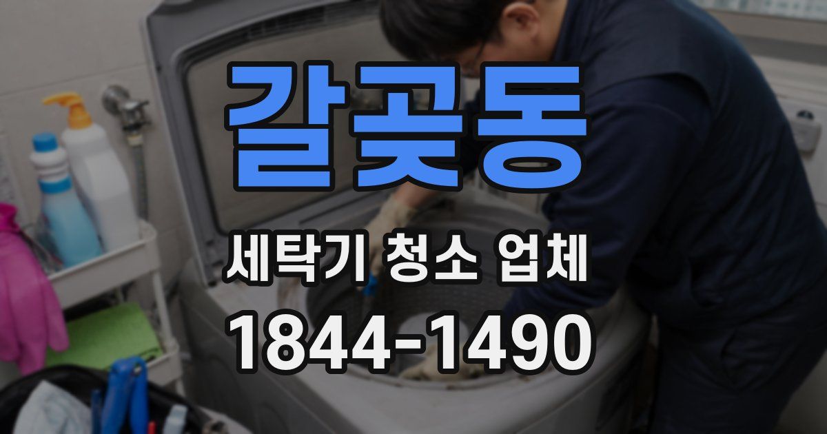 갈곶동 세탁기 청소 업체