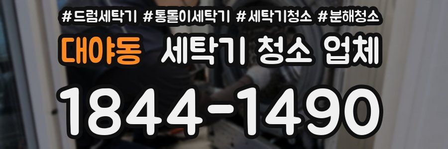 대야동 세탁기 청소 업체