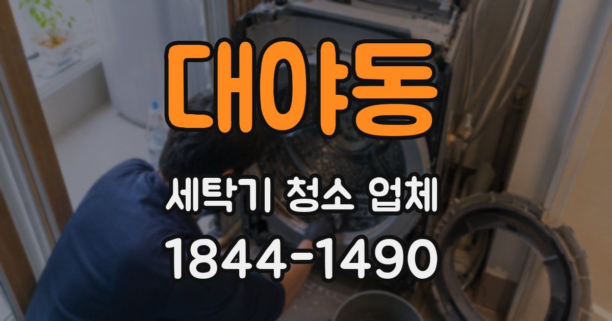 대야동 세탁기 청소 업체