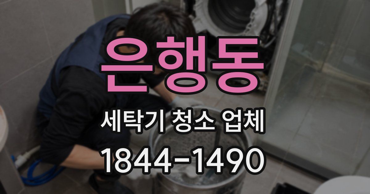 은행동 세탁기 청소 업체