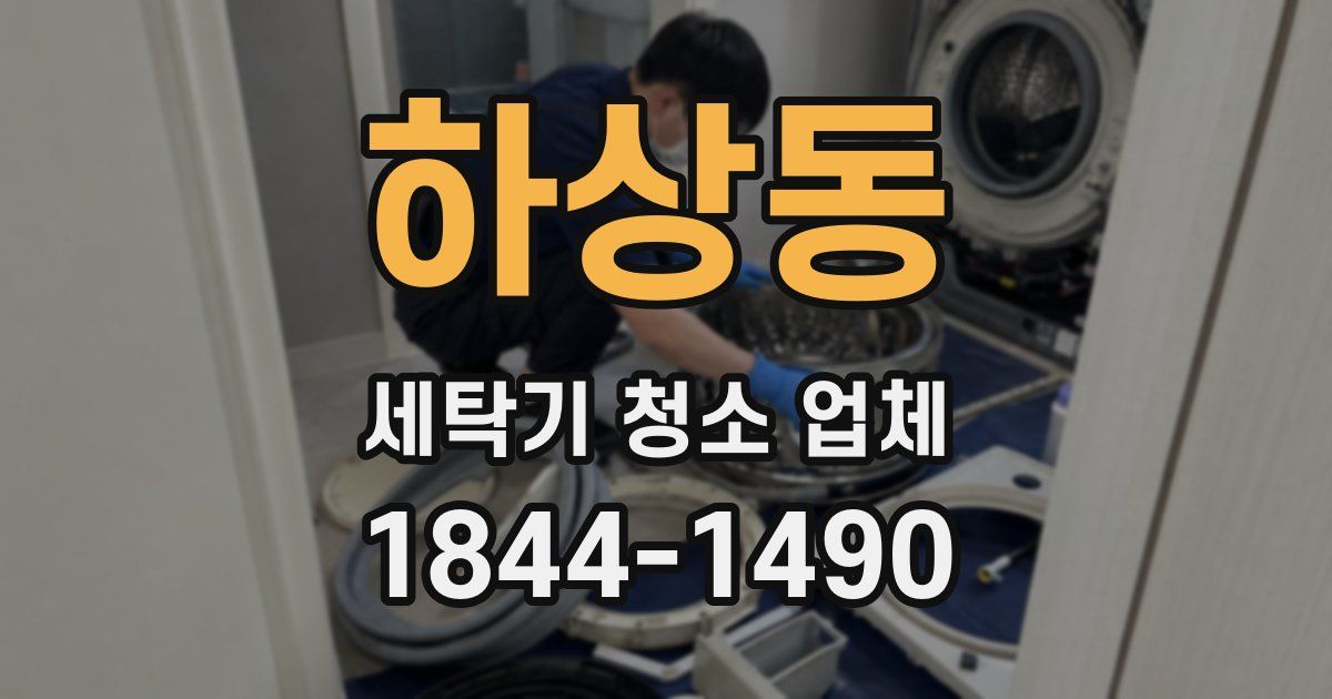 하상동 세탁기 청소 업체